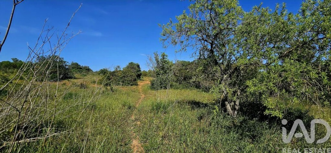 Terreno para Venda em Bensafrim e Barão de São João Foto 5