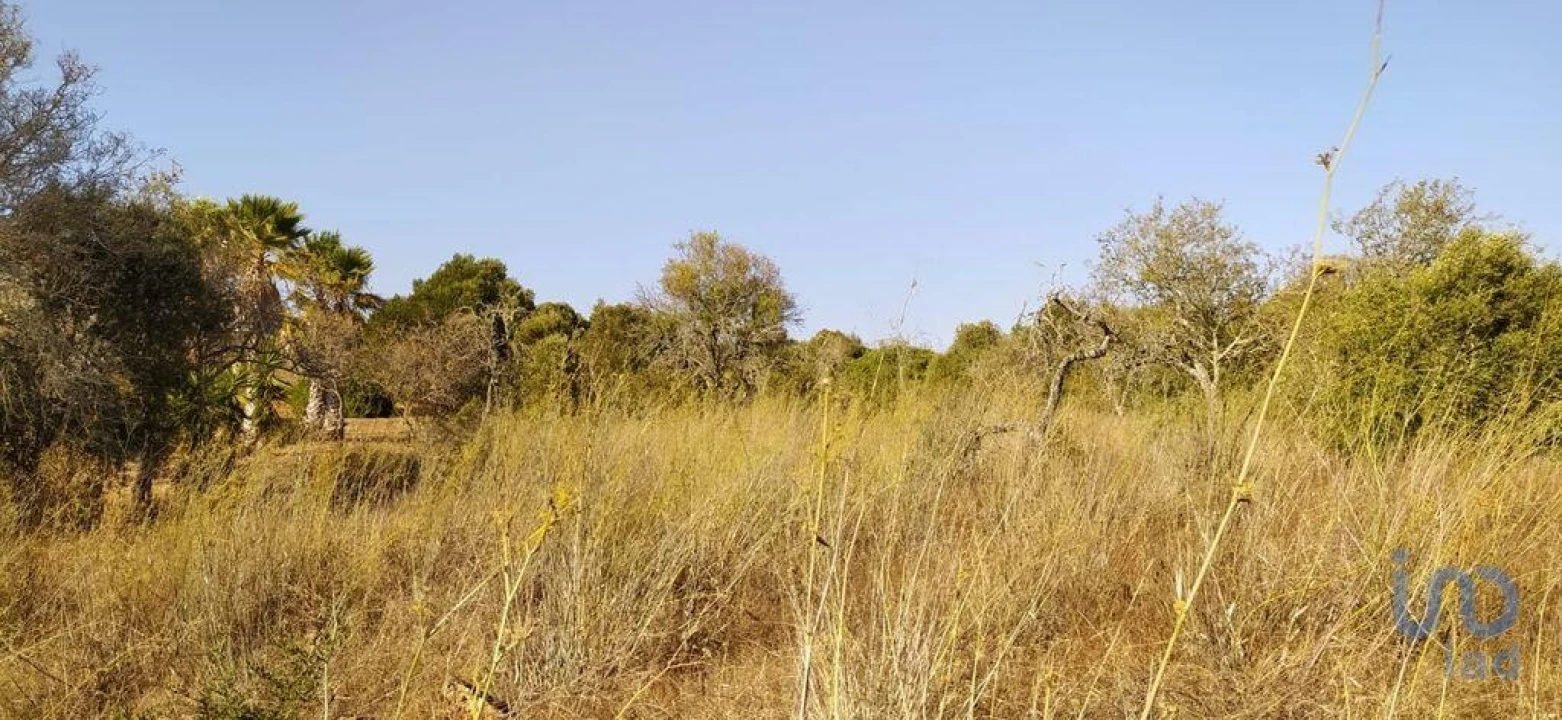 Terreno para Venda em Bensafrim e Barão de São João Foto 15