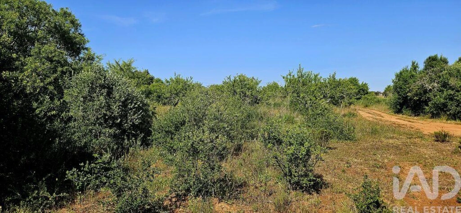 Terreno para Venda em Bensafrim e Barão de São João Foto 15