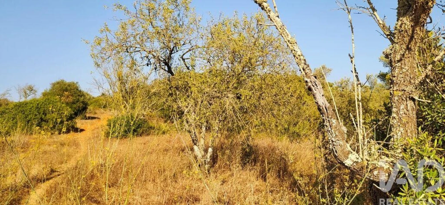 Terreno para Venda em Bensafrim e Barão de São João Foto 27