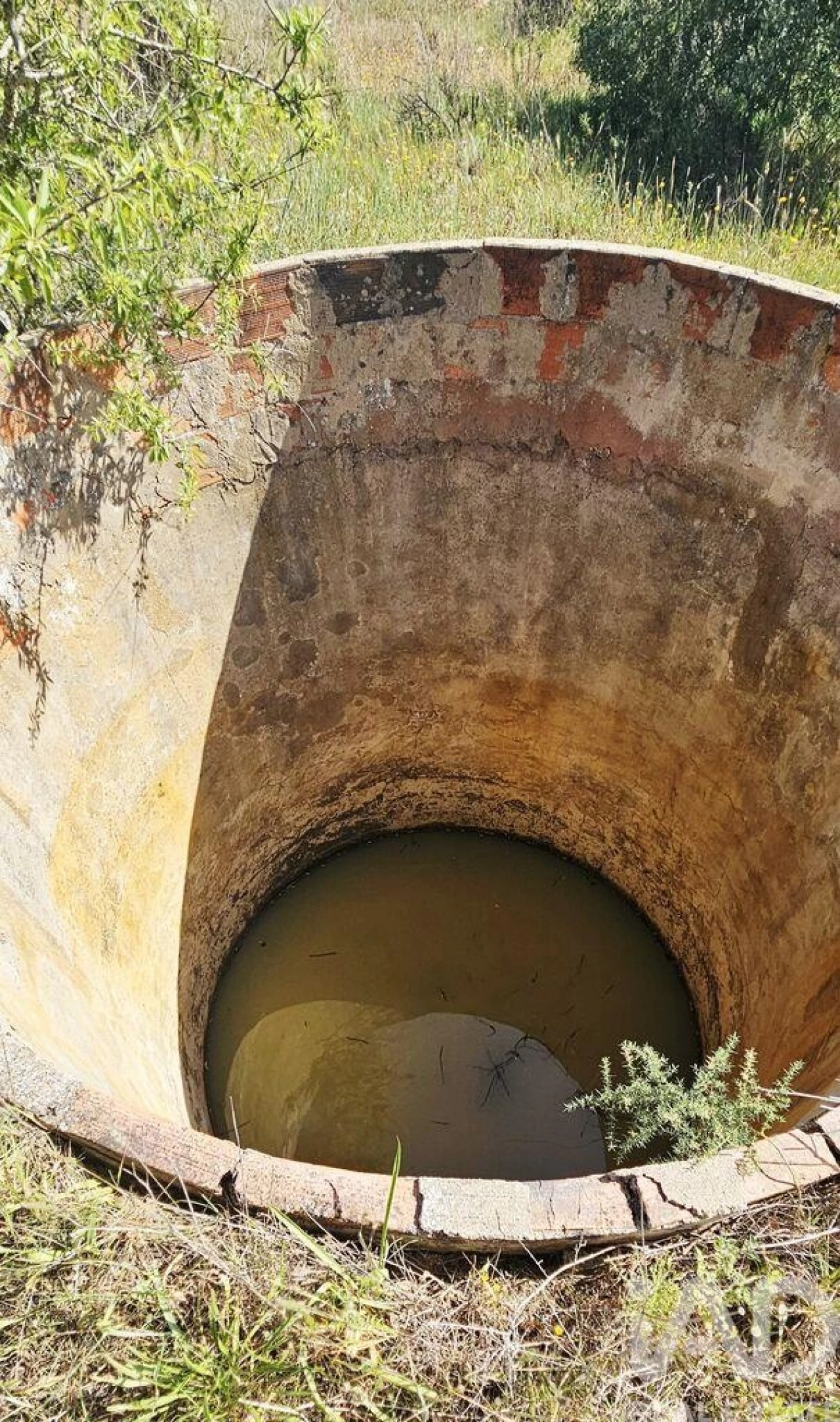Terreno para Venda em Bensafrim e Barão de São João Foto 4