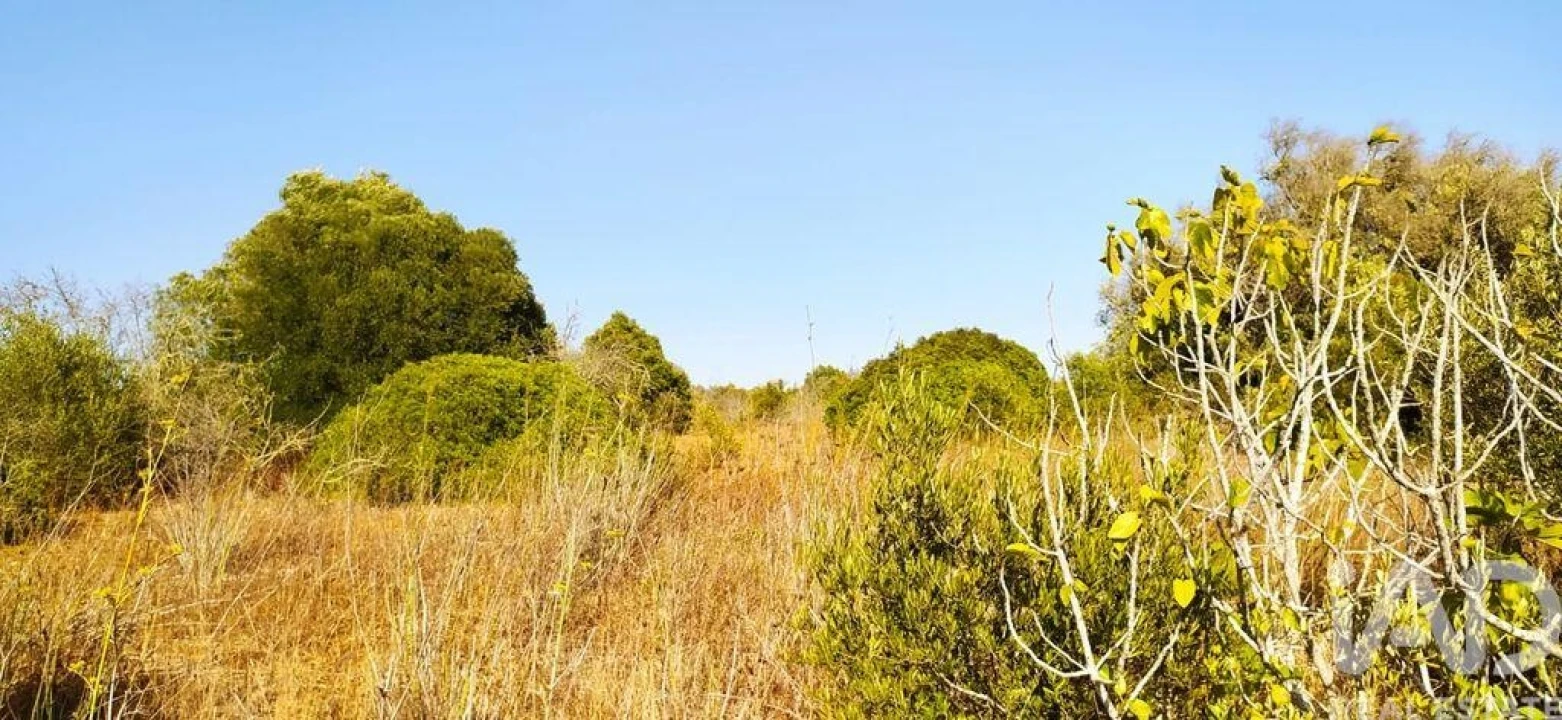 Terreno para Venda em Bensafrim e Barão de São João Foto 20