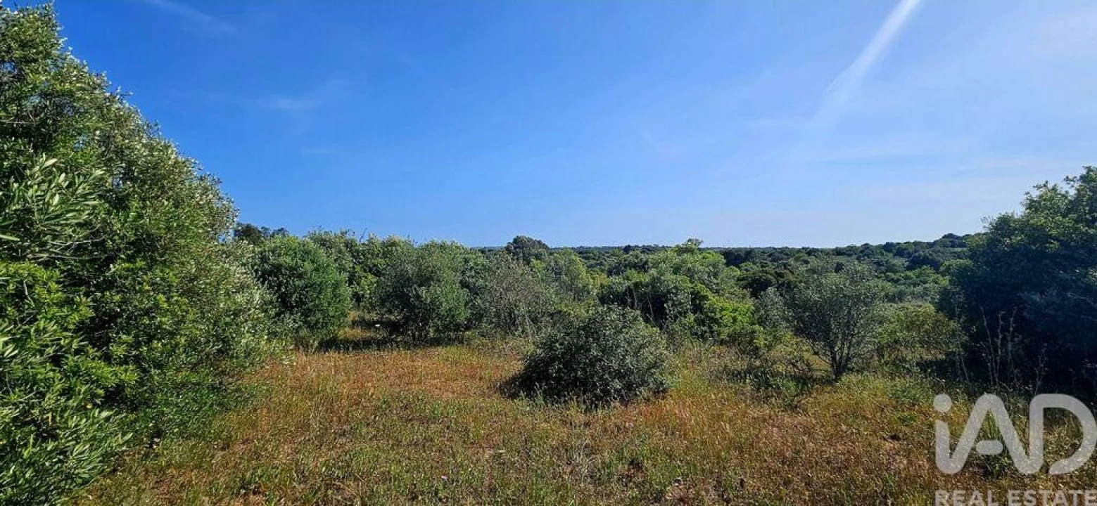 Terreno para Venda em Bensafrim e Barão de São João Foto 9