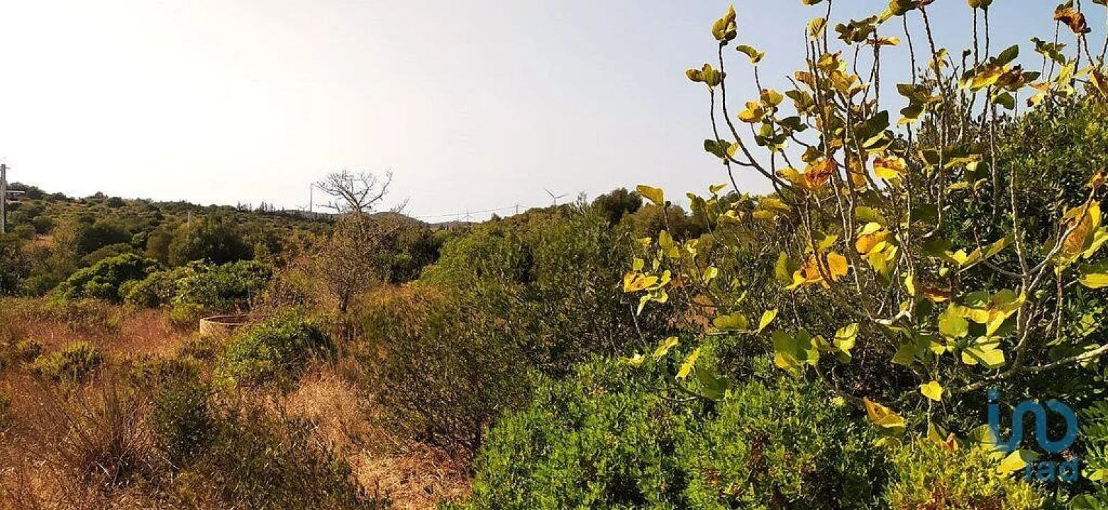Terreno para Venda em Bensafrim e Barão de São João Foto 1