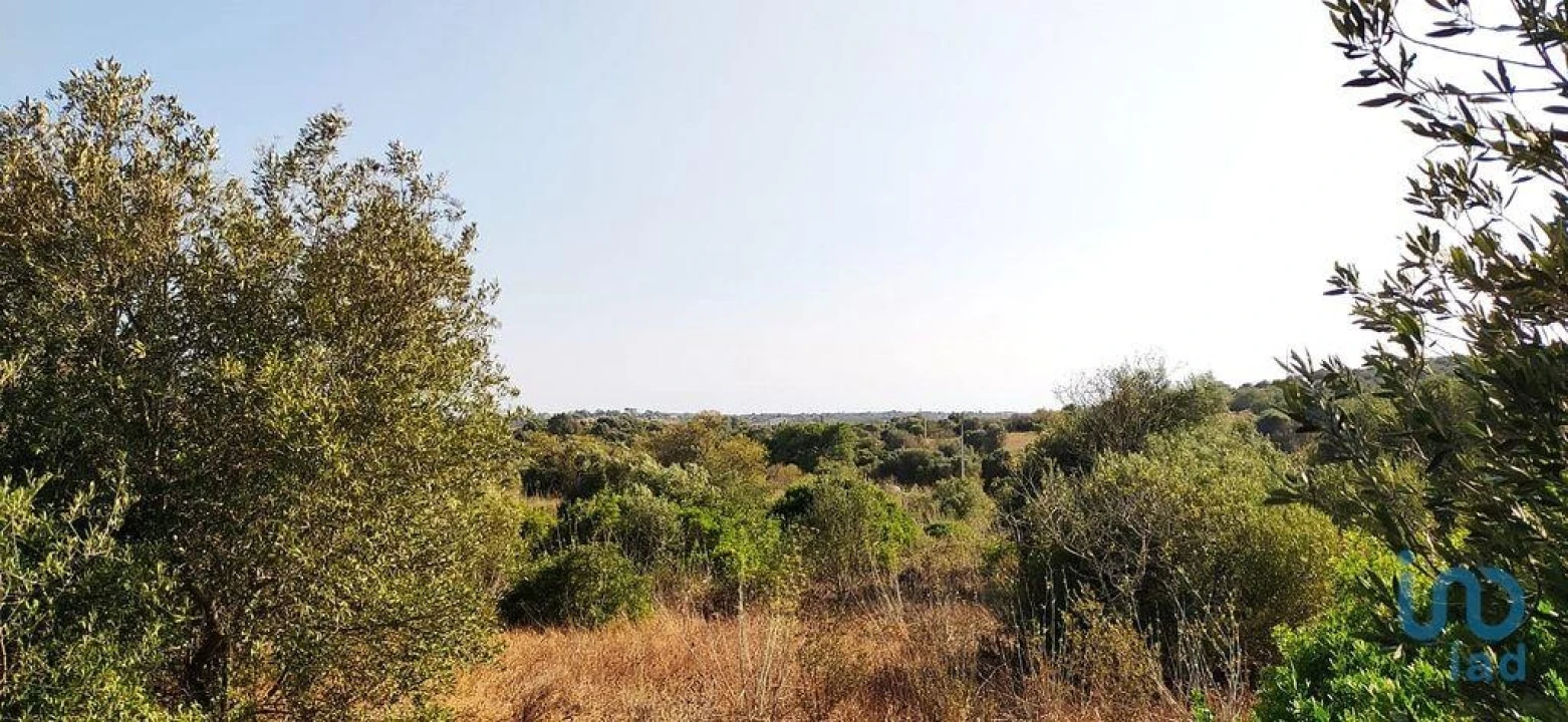 Terreno para Venda em Bensafrim e Barão de São João Foto 6