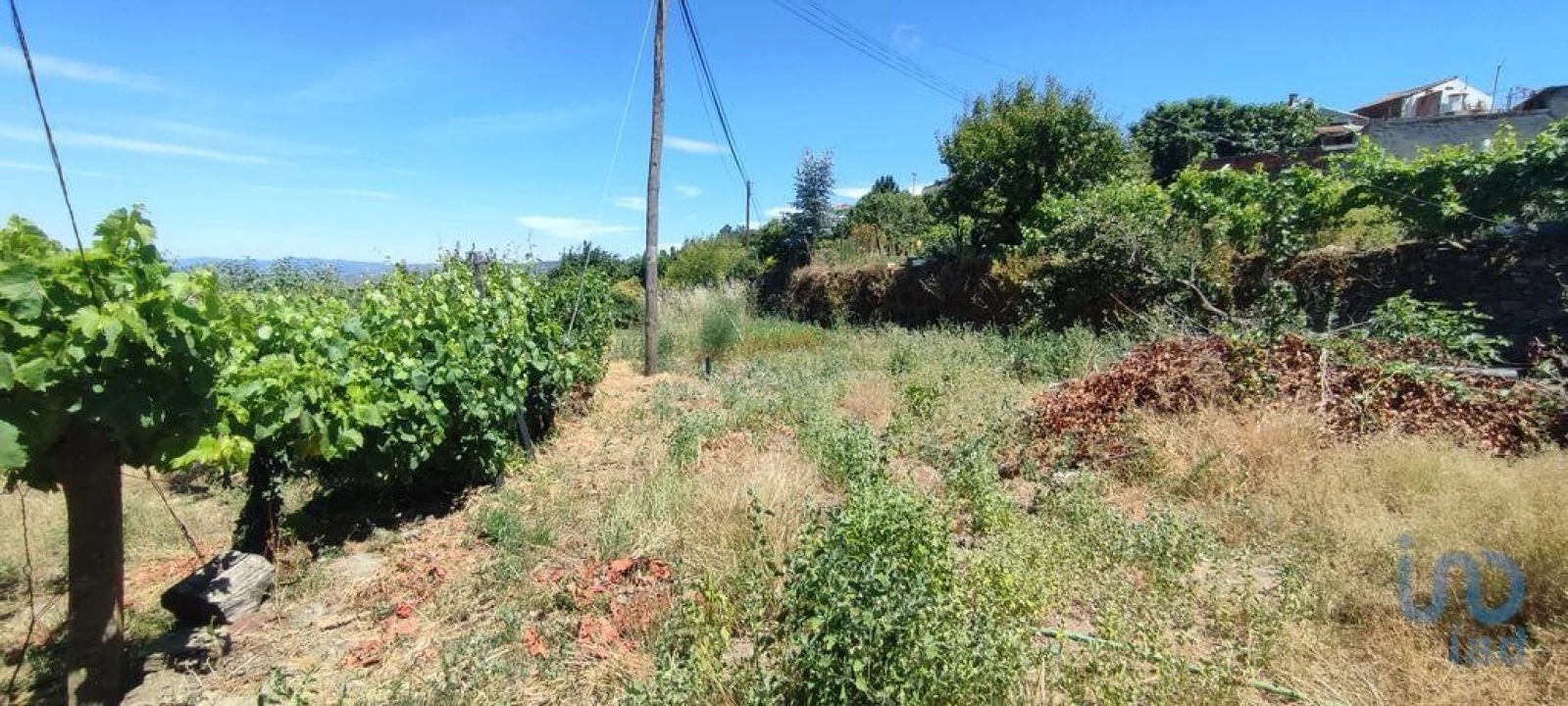 Moradia T5 para Venda em Barcos e Santa Leocádia Foto 10