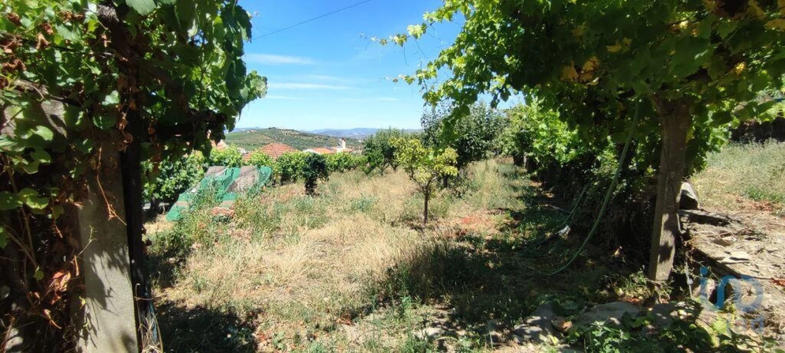 Moradia T5 para Venda em Barcos e Santa Leocádia Foto 9