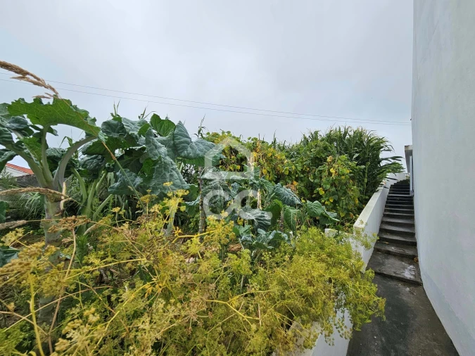 Moradia T3 para Venda em Fenais da Ajuda Foto 18