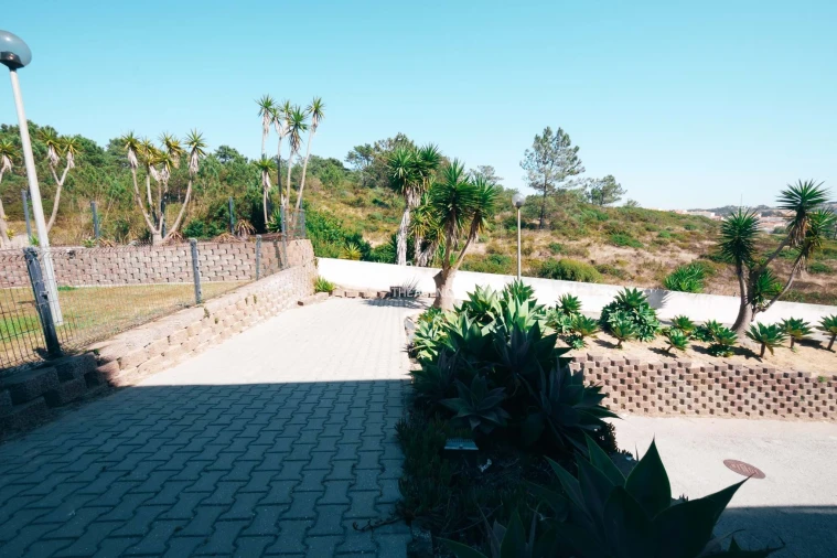 Negócio para Venda em Ericeira Foto 46