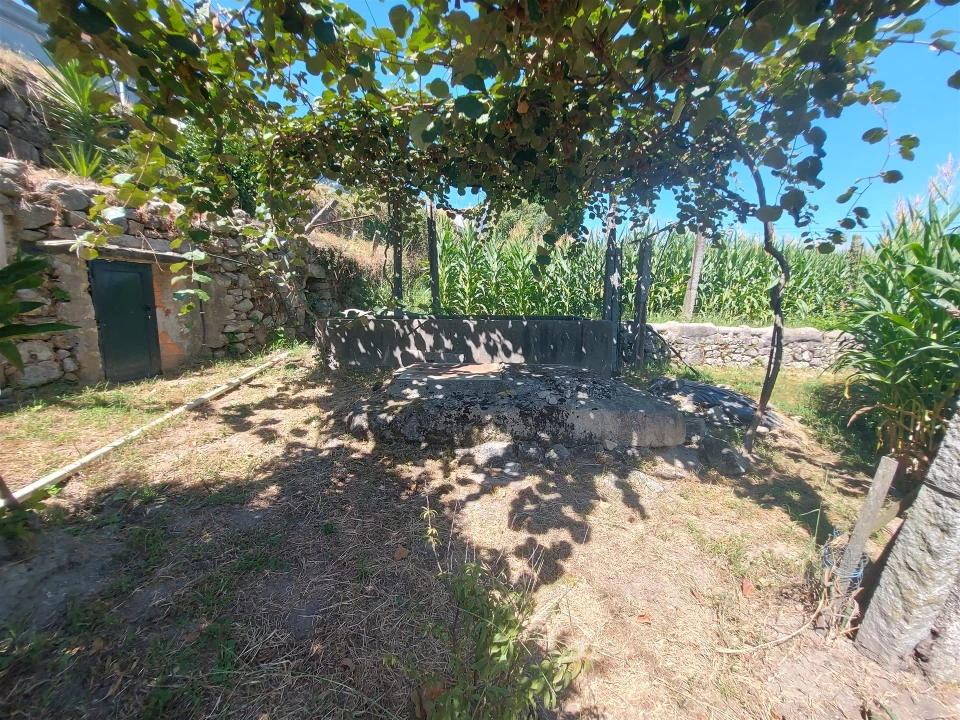Terreno Agricola ou Rústico para Venda em Mansores Foto 5