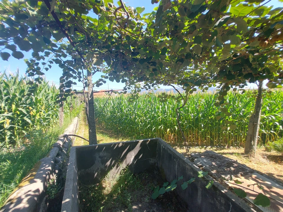 Terreno Agricola ou Rústico para Venda em Mansores Foto 28