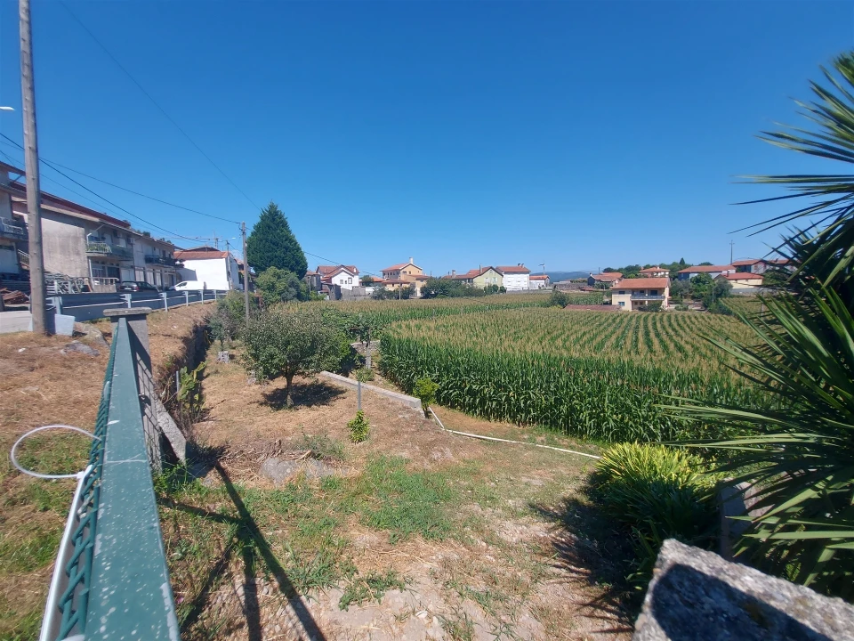 Terreno Agricola ou Rústico para Venda em Mansores Foto 16