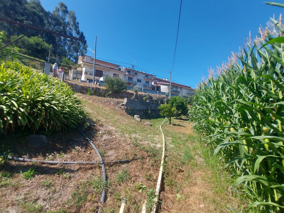 Terreno Agricola ou Rústico para Venda em Mansores Foto 33