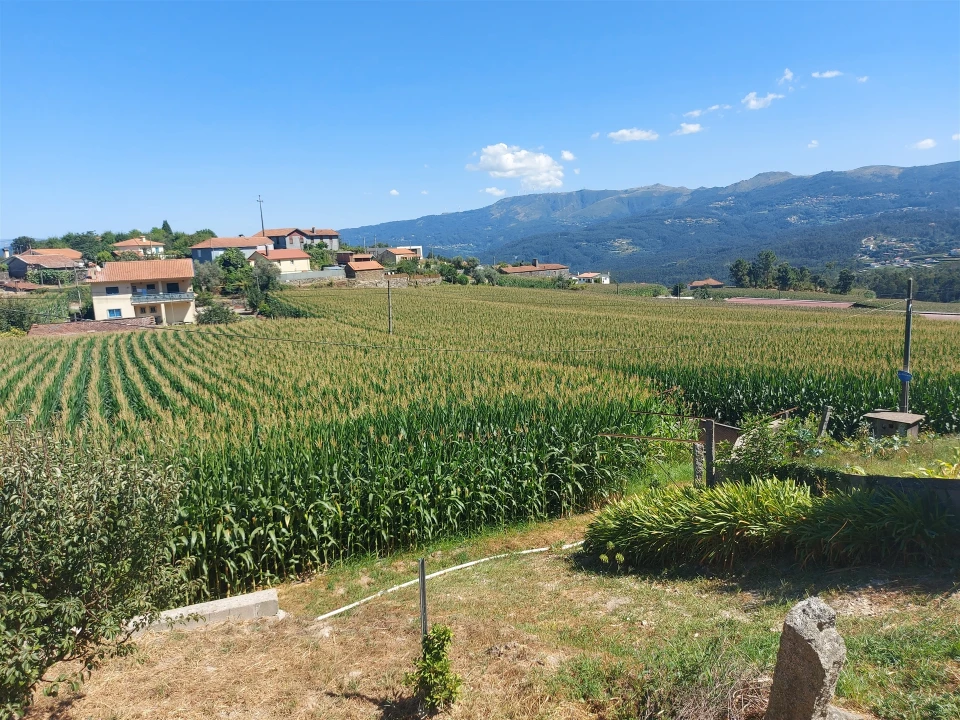 Terreno Agricola ou Rústico para Venda em Mansores Foto 19