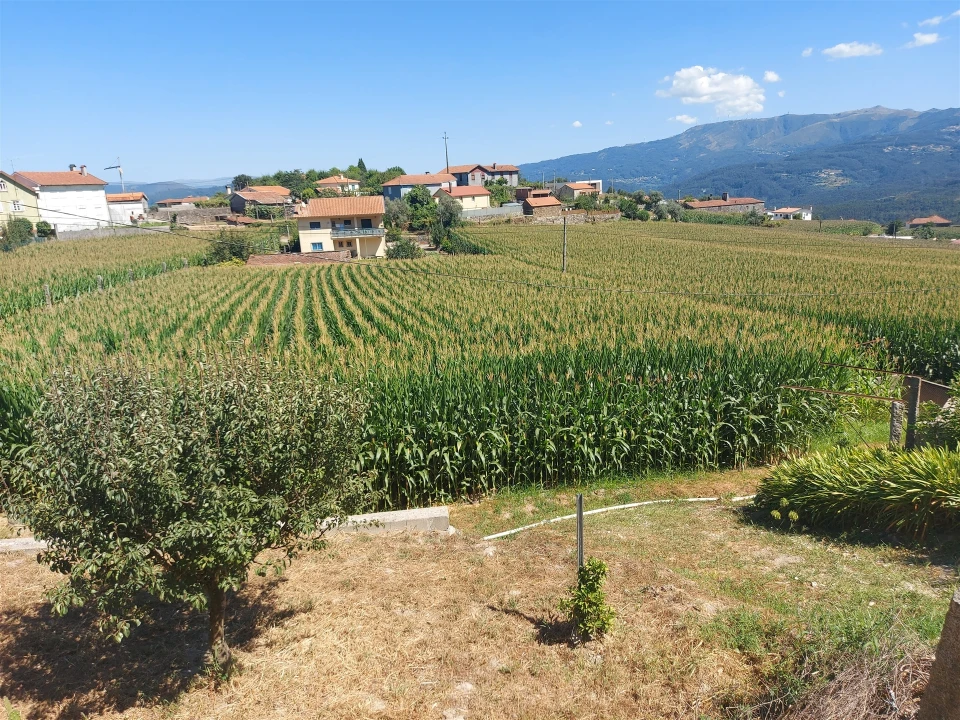 Terreno Agricola ou Rústico para Venda em Mansores Foto 18