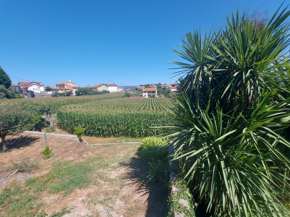 Terreno Agricola ou Rústico para Venda em Mansores Foto 35