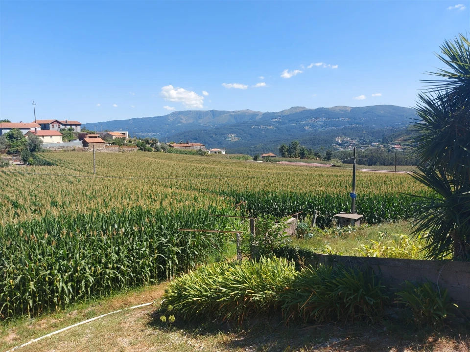 Terreno Agricola ou Rústico para Venda em Mansores Foto 20