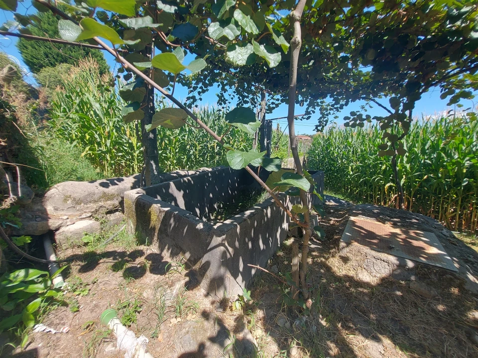 Terreno Agricola ou Rústico para Venda em Mansores Foto 27