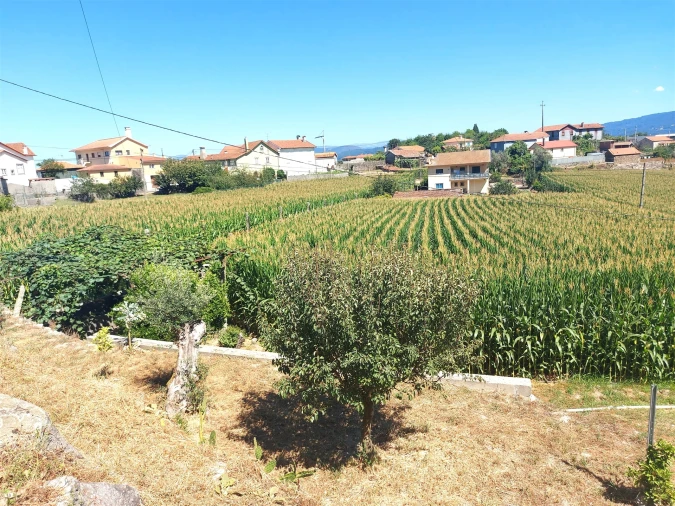 Terreno Agricola ou Rústico para Venda em Mansores Foto 4