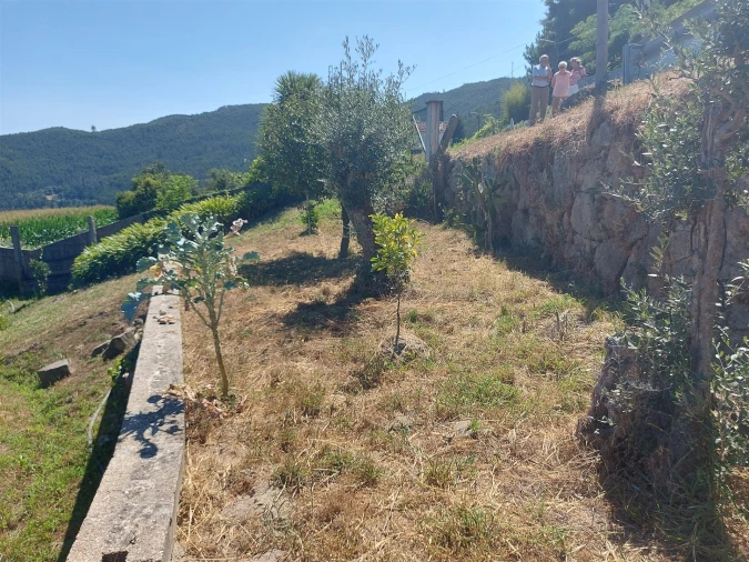 Terreno Agricola ou Rústico para Venda em Mansores Foto 11