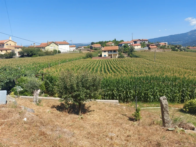 Terreno Agricola ou Rústico para Venda em Mansores Foto 17