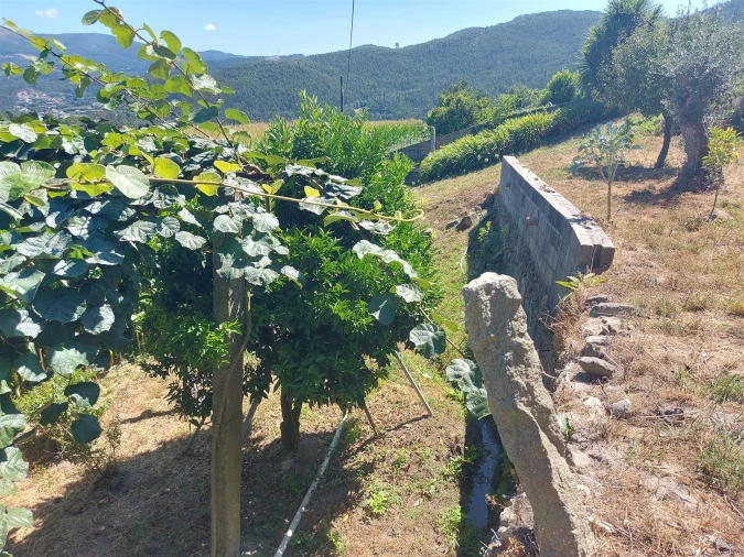 Terreno Agricola ou Rústico para Venda em Mansores Foto 25