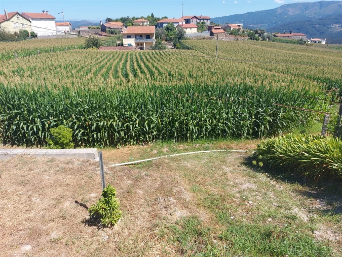 Terreno Agricola ou Rústico para Venda em Mansores Foto 21