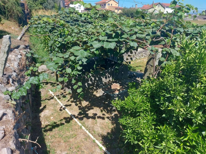Terreno Agricola ou Rústico para Venda em Mansores Foto 22