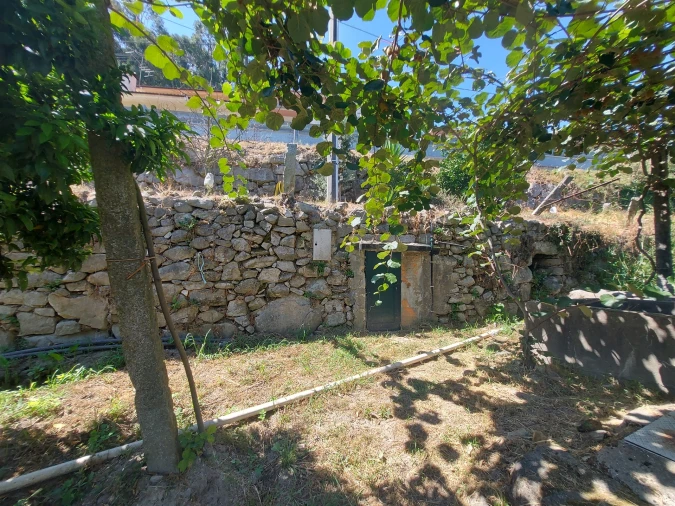 Terreno Agricola ou Rústico para Venda em Mansores Foto 12