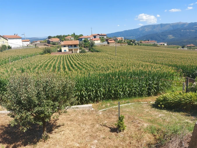 Terreno Agricola ou Rústico para Venda em Mansores Foto 18