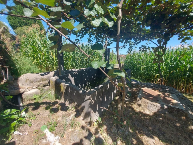 Terreno Agricola ou Rústico para Venda em Mansores Foto 27