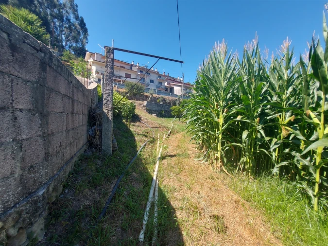 Terreno Agricola ou Rústico para Venda em Mansores Foto 32