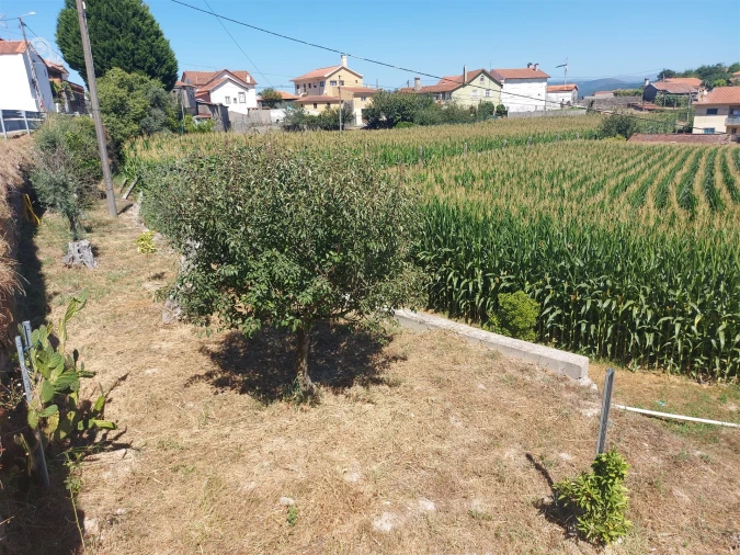 Terreno Agricola ou Rústico para Venda em Mansores Foto 8