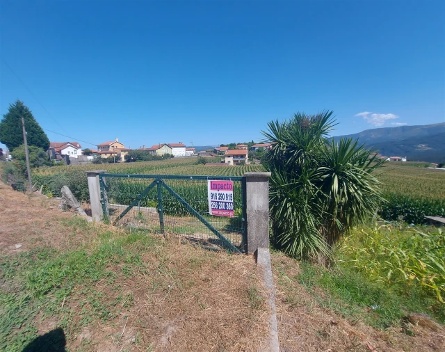 Terreno Agricola ou Rústico para Venda em Mansores Foto 36