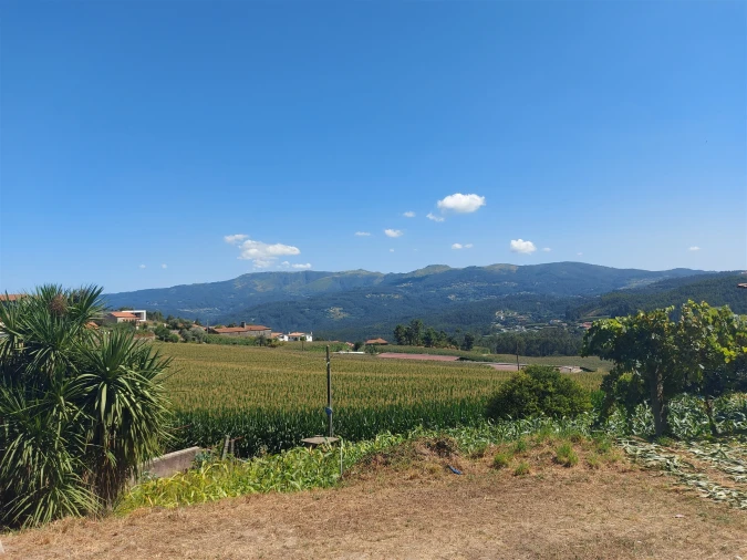 Terreno Agricola ou Rústico para Venda em Mansores Foto 37