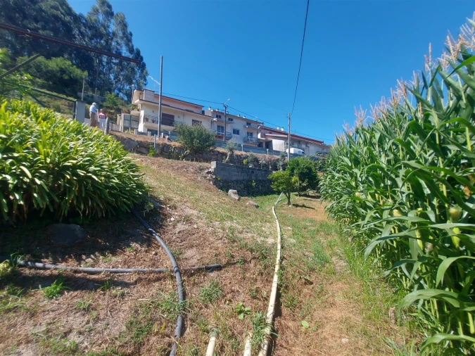 Terreno Agricola ou Rústico para Venda em Mansores Foto 34