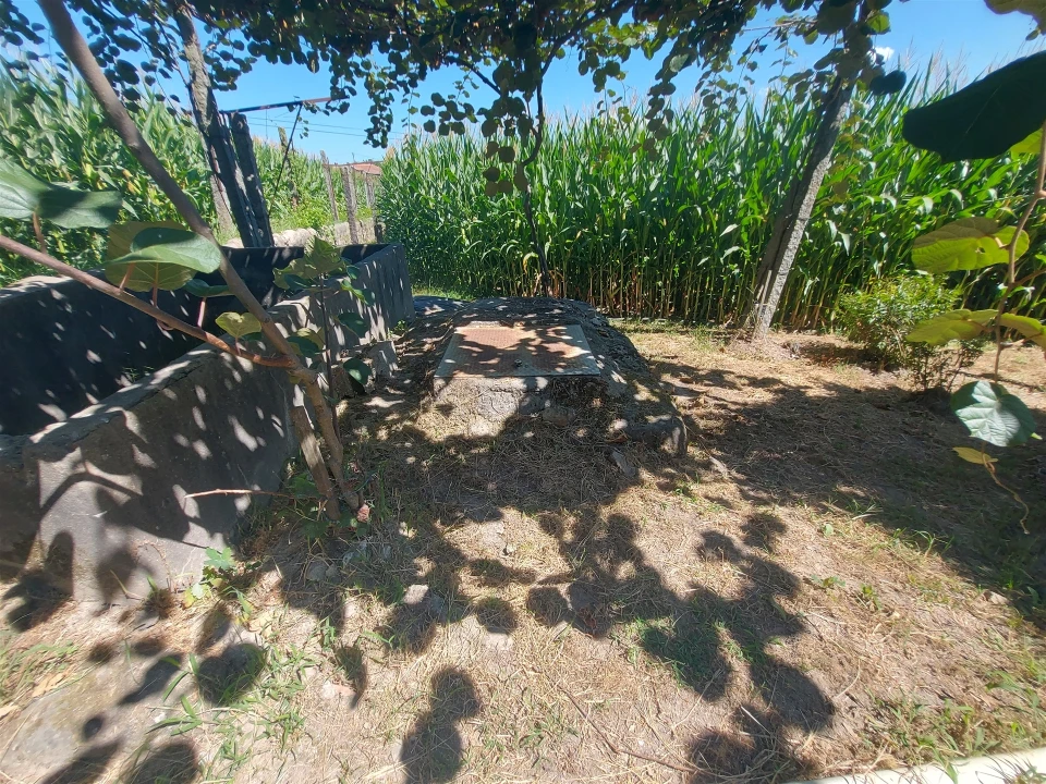Terreno Agricola ou Rústico para Venda em Mansores Foto 7