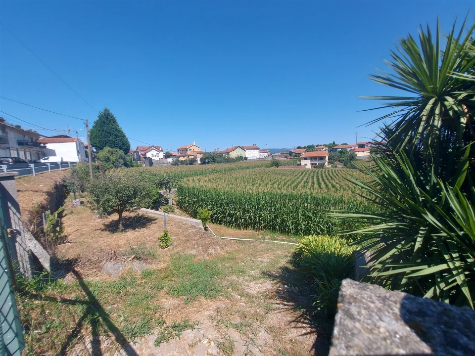 Terreno Agricola ou Rústico para Venda em Mansores Foto 2