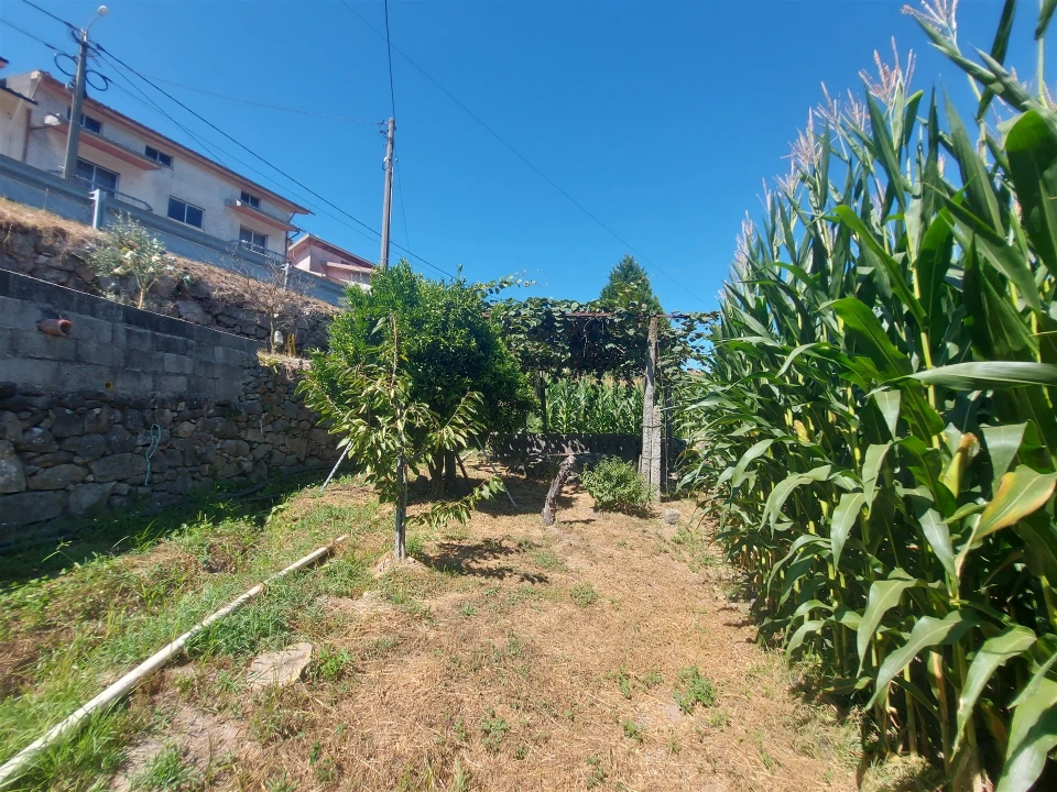 Terreno Agricola ou Rústico para Venda em Mansores Foto 14