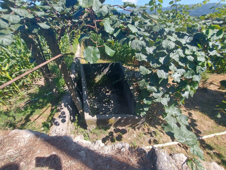 Terreno Agricola ou Rústico para Venda em Mansores Foto 9