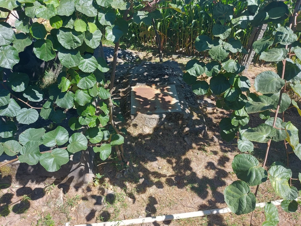 Terreno Agricola ou Rústico para Venda em Mansores Foto 24