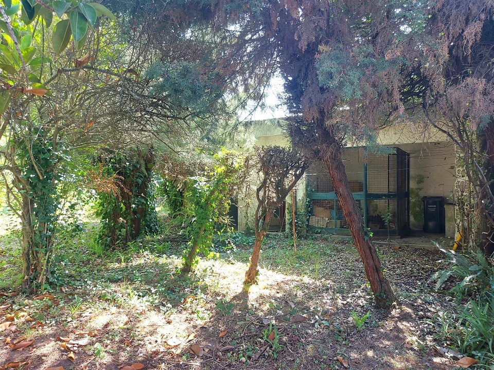 Moradia T4 para Venda em São João da Madeira Foto 4