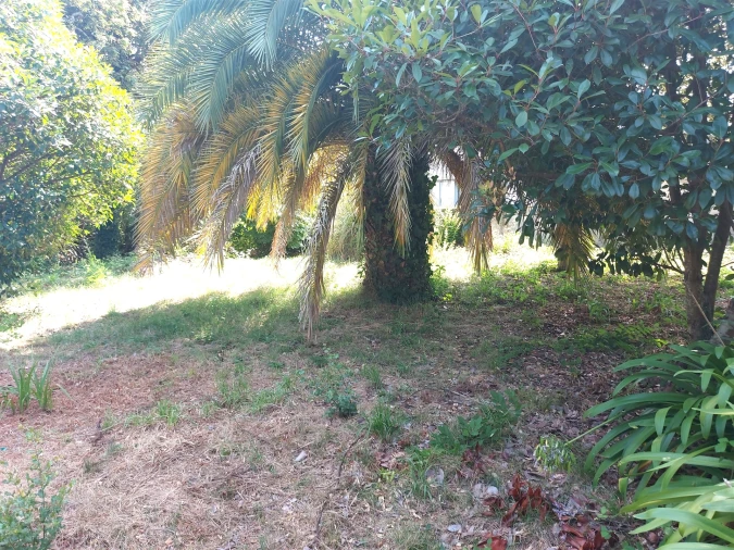 Moradia T4 para Venda em São João da Madeira Foto 56