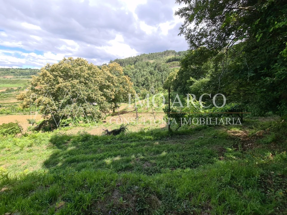 Terreno Agricola ou Rústico para Venda em Faia Foto 6