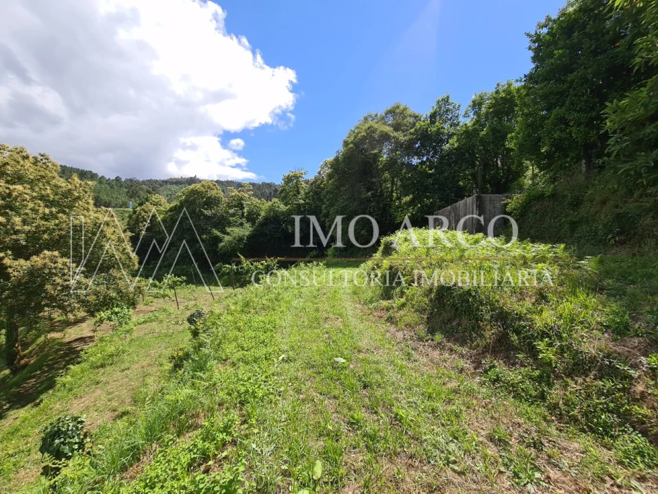 Terreno Agricola ou Rústico para Venda em Faia Foto 5