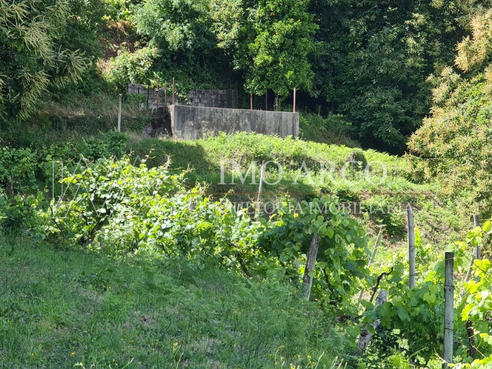 Terreno Agricola ou Rústico para Venda em Faia Foto 4