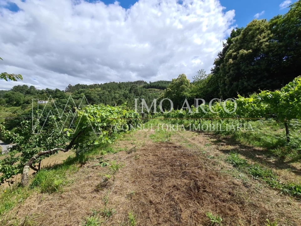 Terreno Agricola ou Rústico para Venda em Faia Foto 8