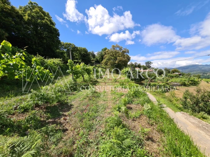 Terreno Agricola ou Rústico para Venda em Faia Foto 6