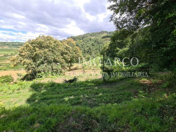 Terreno Agricola ou Rústico para Venda em Faia Foto 5