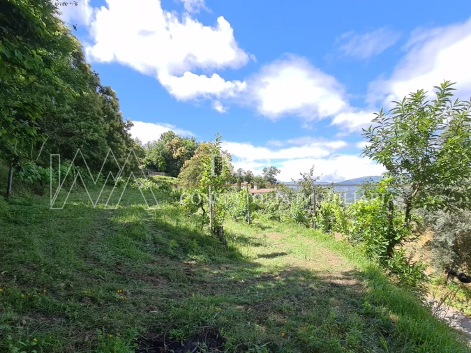 Terreno Agricola ou Rústico para Venda em Faia Foto 7